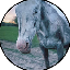 CHEYENNE
