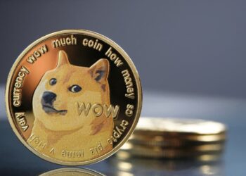 doge-withdrawal-fee02
