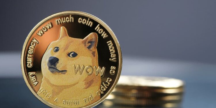 doge-withdrawal-fee02