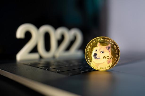 doge-withdrawal-fee04