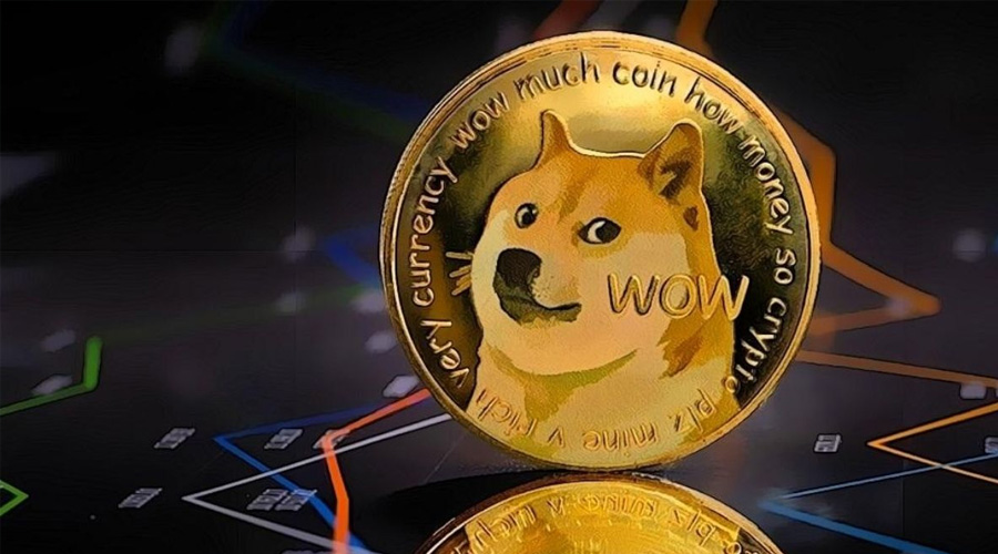 doge-withdrawal-fee06