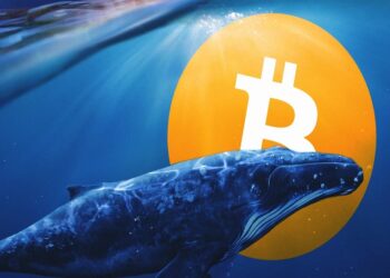 01-Bitcoin-whales-tracker