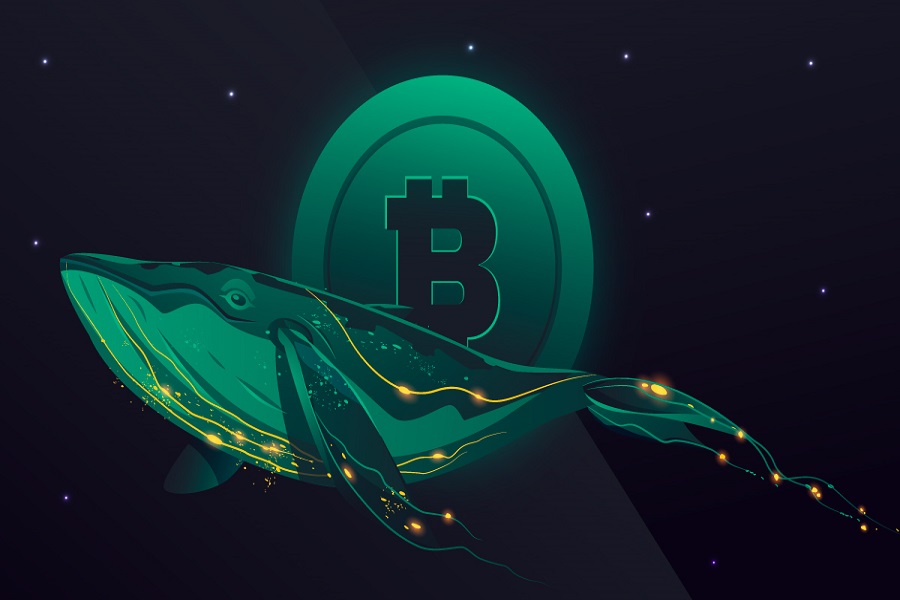 Bitcoin-whales-tracker-07