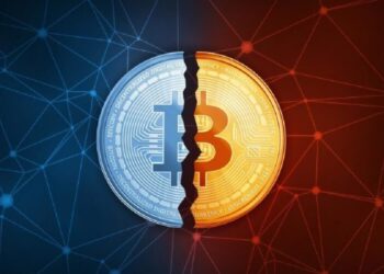 what-is-halving06