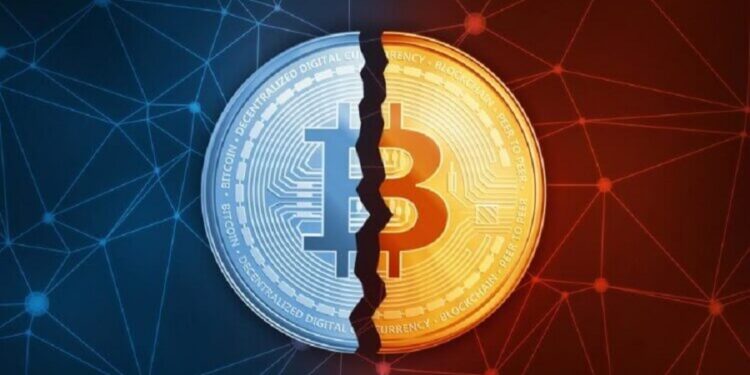 what-is-halving06