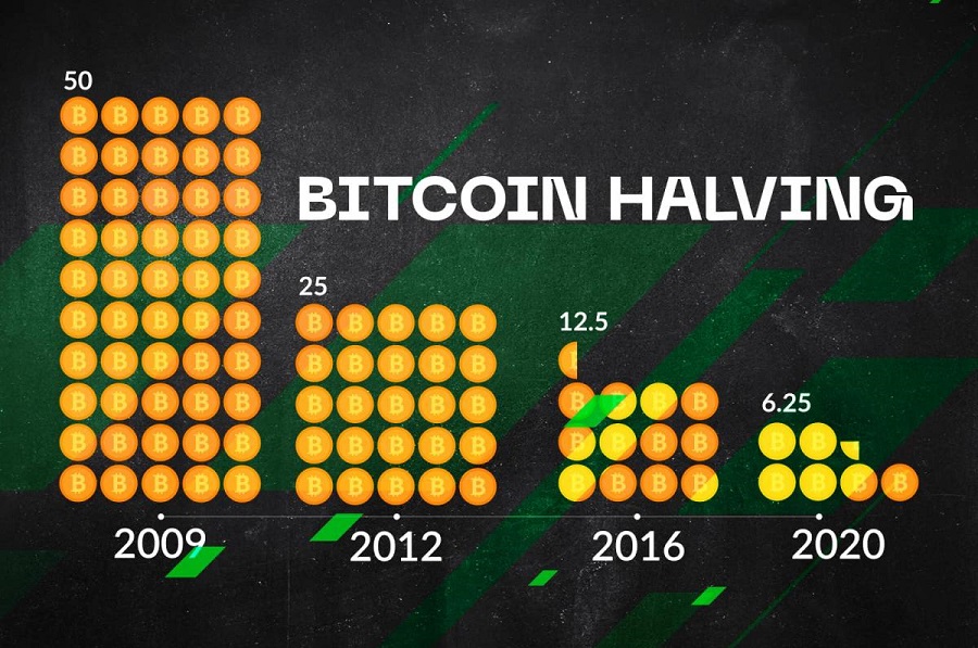 what-is-halving08