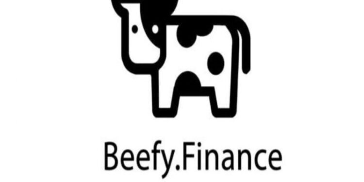 beefy-finance-02