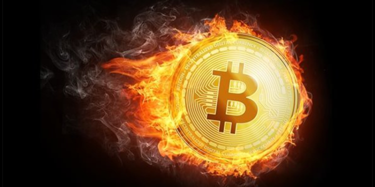 everything-about-token-burning-01
