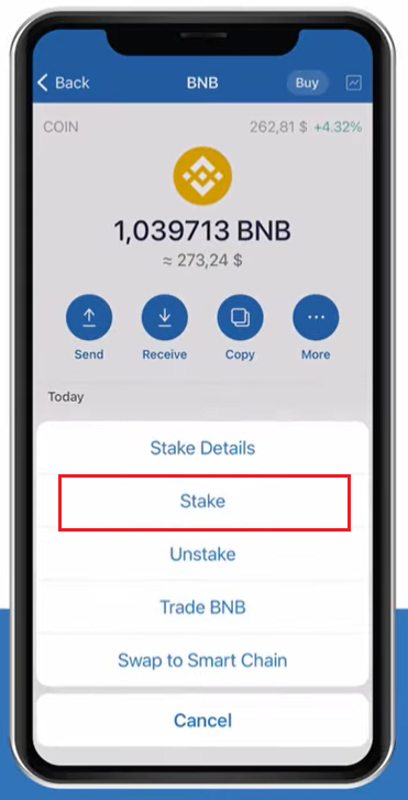 انتخاب گزینه Stake برای استیک کردن