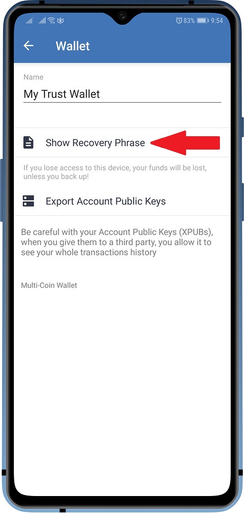 گزینه Show Recovery Phrase را انتخاب کنید