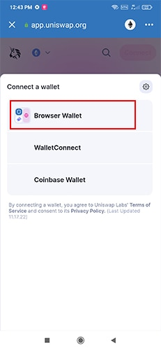 روی دکمه Browse Wallet کلیک کنید