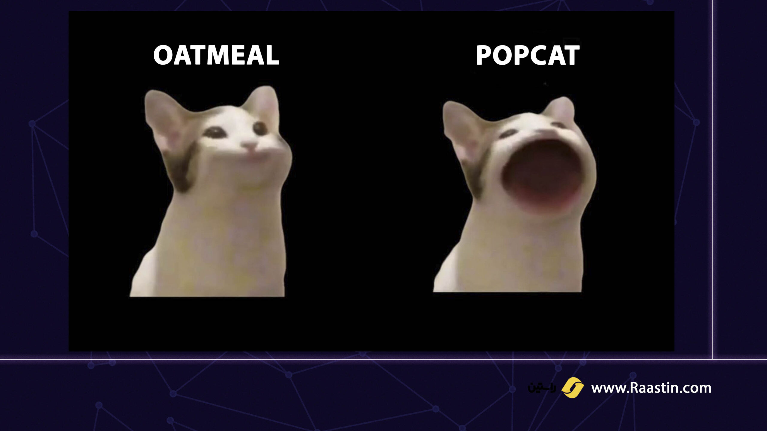 میم کوین پاپ کت POPCAT
