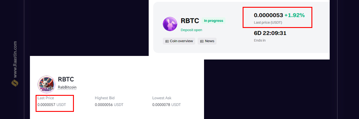 قیمت راکی ربیت