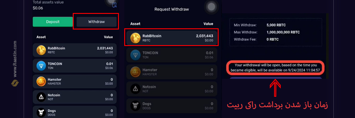 برداشت راکی ربیت