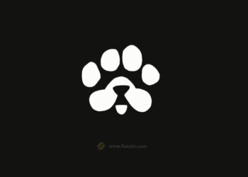 ایردراپ پاز PAWS
