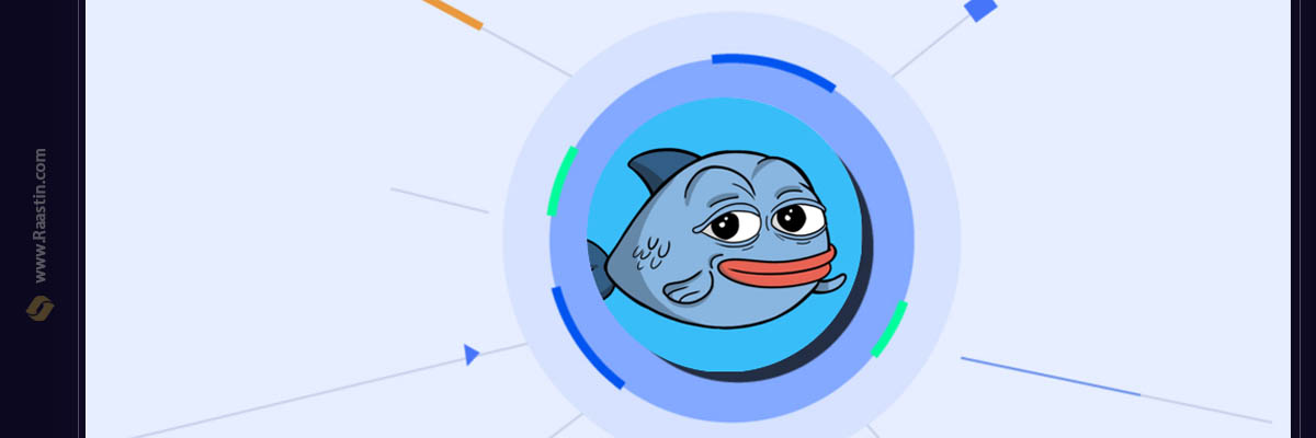 میم کوین سویی، میم کوین بلاب، میم کوین های sui