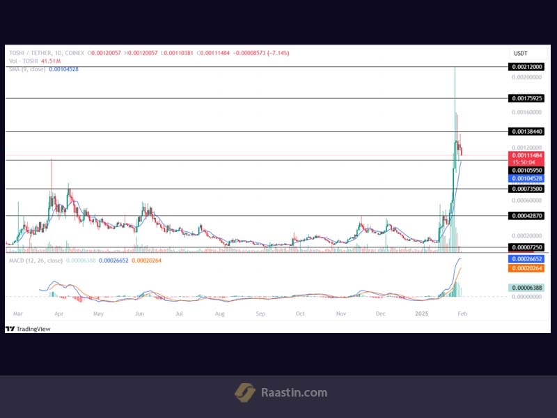 میم کوین های انفجاری، پیش بینی قیمت توشی