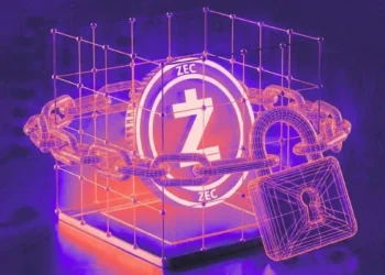 ارز زی کش، ارز زی کش چیست، زی کش چیست، معرفی ارز زی کش