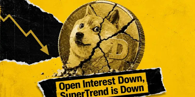 افت قیمت دوج کوین، ریزش قیمت دوج کوین امروز، تحلیل قیمت دوج کوین، آینده دوج کوین