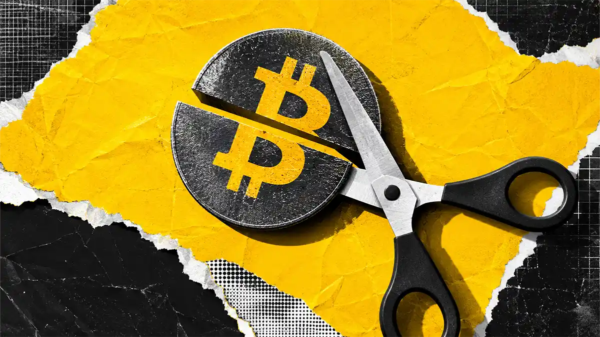 هاوینگ بیت کوین، تعداد کل بیت کوین های دنیا