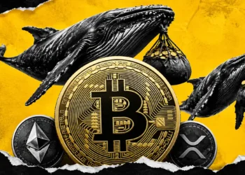 خرید بیت کوین توسط نهنگ ها، امکان رشد بیت کوین و آلت کوین ها
