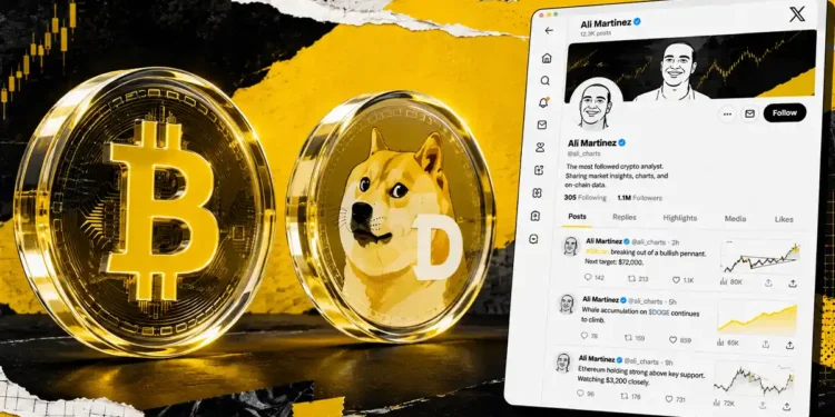 پیش بینی قیمت دوج کوین و بیت کوین