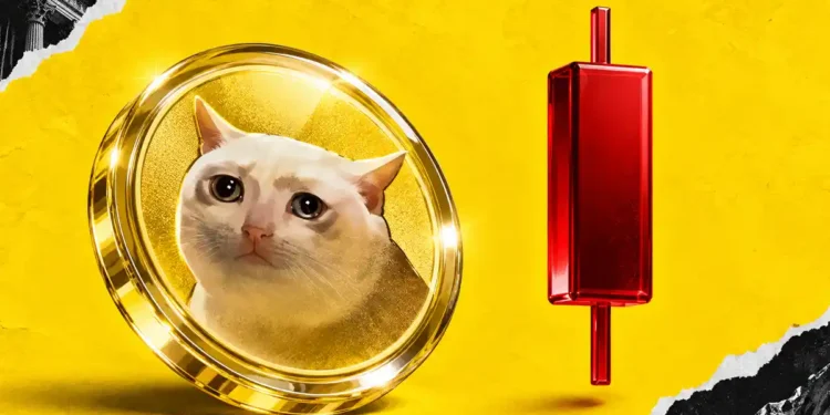 پیش بینی قیمت کش کت، احتمال رشد قیمت کش کت