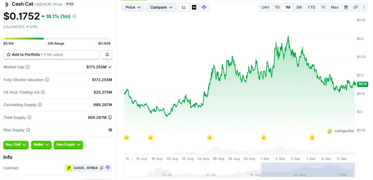 ارز کش کت چیست، اینده ارز کش کت، میم کوین کش کت، بهترین میم کوین شبکه رابین هود