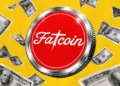 ارز فت کوین چیست، آینده ارز فت کوین، پیش بینی قیمت فت کوین، میم کوین fatcoin، میم کوین های انفجاری رابین هود چین