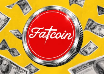 ارز فت کوین چیست، آینده ارز فت کوین، پیش بینی قیمت فت کوین، میم کوین fatcoin، میم کوین های انفجاری رابین هود چین