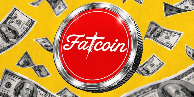 ارز فت کوین چیست، آینده ارز فت کوین، پیش بینی قیمت فت کوین، میم کوین fatcoin، میم کوین های انفجاری رابین هود چین